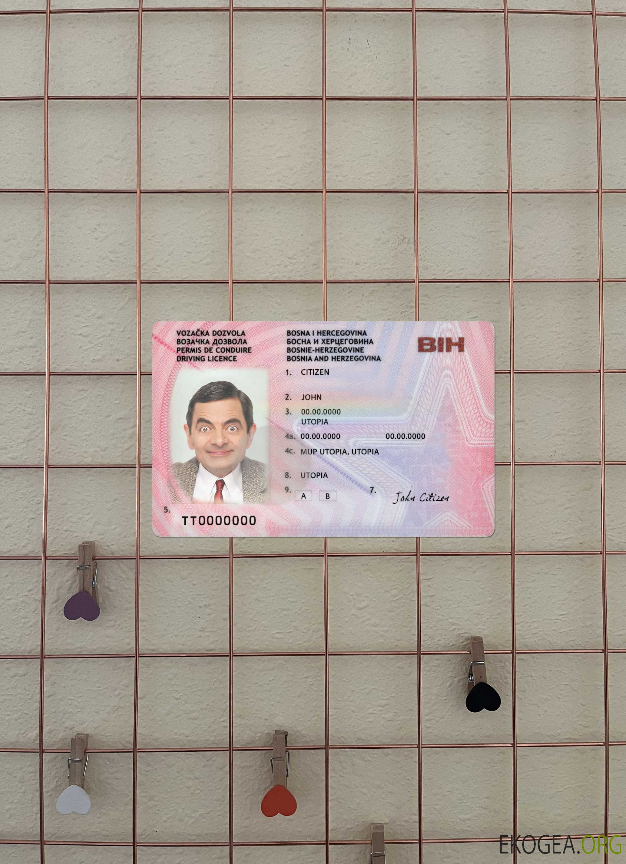 Permis de conduire de Bosnie Herzégovine version 2 photolook recto